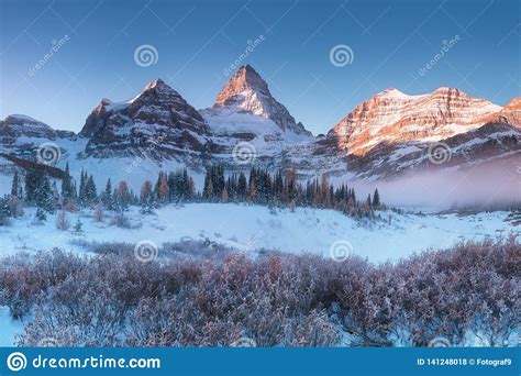 First Snow Mount Assiniboine Also Known As Assiniboine Mountain Is A