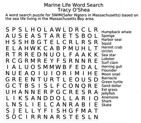 Word Search Puzzle Maker Free Download