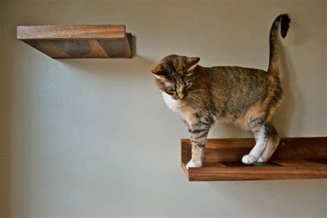 Stylish and functional cat shelves, condos, trees and perches. Handcrafted Wooden Cat Shelves From KittyOverlords ...
