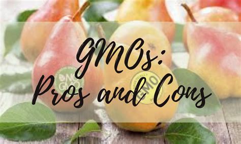 Gmos Pros And Cons Youth In Food Systems