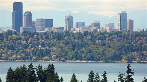 Bellevue Turismo Qué Visitar En Bellevue Seattle 2023 Viaja Con Expedia