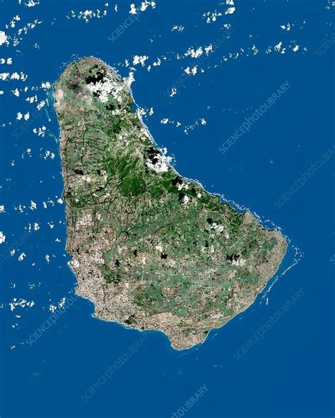 barbados satellite image stock image c001 9536 science photo library
