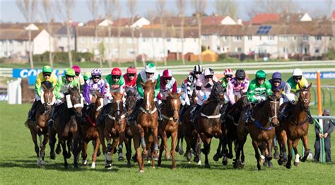 Ayr Racecourse Ayr Attractions And Activities Britains Finest