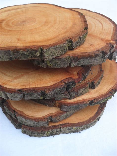Wood Slices Tree Branch Slices Rustic Wood Slices 4 Inch Wood Slices
