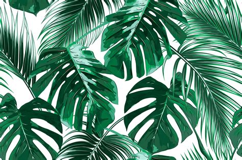 Tropical Leaves 4k Wallpapers Wallpaper Cave