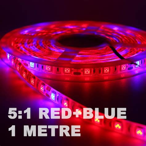Check spelling or type a new query. 5:1 12v Strip Grow Light (1 metre) - LED Grow Light Shop ...