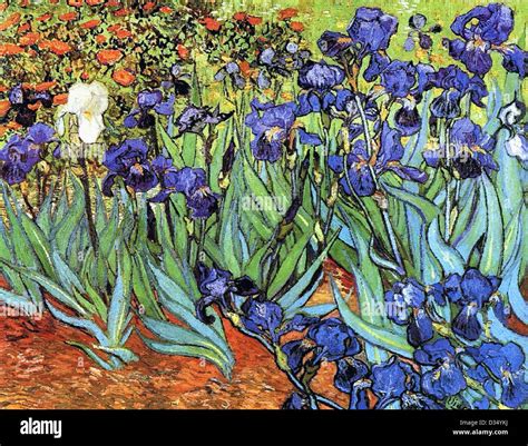 Vincent Van Gogh Irises 1889 Post Impressionism Oil On Canvas