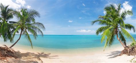 Beautiful Coconut Palm Trees Nature Landscape Sea Sand Sky