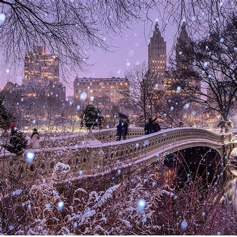Central Park And Snow New York Christmas Winter Scenes Scenery