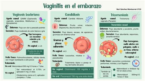 Vaginitis En El Embarazo Montse Neri Udocz