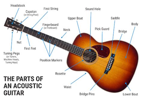 Parts Of The Guitars You Need To Know Kursus Gitar