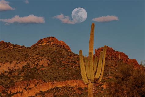 Supermoon Over Saguaro Photograph By Rolf Jacobson Pixels