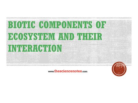 Biotic Components Of Ecosystem The Science Notes