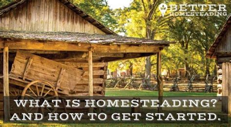 Homesteading Farm Tips And How To Get Started Easy Start Guide