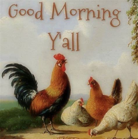 Pin By Camille On Seven Days A Week Good Morning Chicken