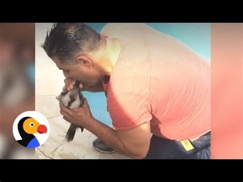 Monster bbc face bangs tiffany sparkz ir. Man Gives Drowning Bird CPR | The Dodo - YouTube