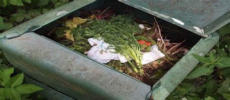 The Top 5 Reasons You Should Start Composting Right Now The