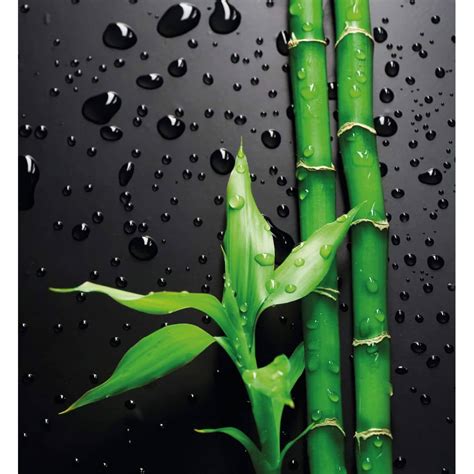 Fototapete Bamboo Over Black Von Kandl Wall Art Wall Artde