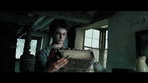 Pin On Harry Potter And The Prisoner Of Azkaban