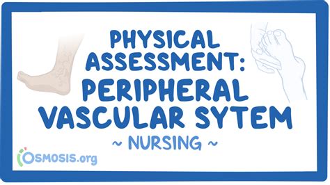 Physical Assessment Peripheral Vascular System Nursing Osmosis