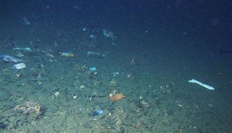 Plastic Debris Found Even In The Mariana Trench Earth Chronicles News