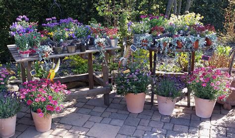 Toom gartenmarkt in nordhausen, reviews by real people. Gartenmarkt - Ihr Gartencoach Görnert in Essen