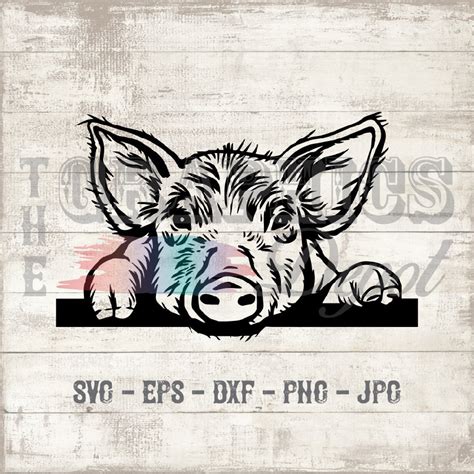 Pig Svg Eps Dxf 300dpi Png  Clipart Clip Art Etsy Australia