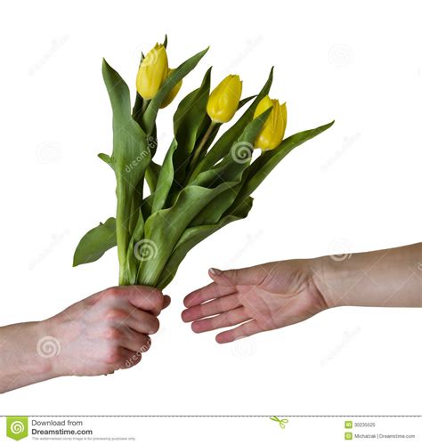 You can express your love on your wedding anniversary with a bunch of flowers. Giving flowers stock image. Image of hand, birthday ...