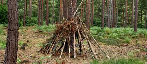 How To Build Your Own Fort Camp Wilderness
