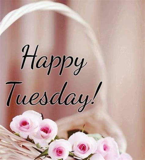 Good Morning Happy Tuesday Images Share Your Day Wishes