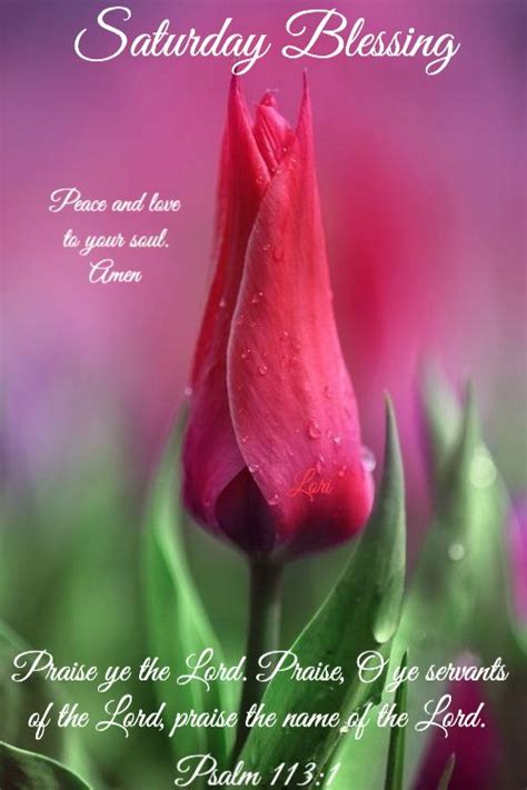 Pin By Barbara Crum On Saturday Blessings Daily Scripture Blessed
