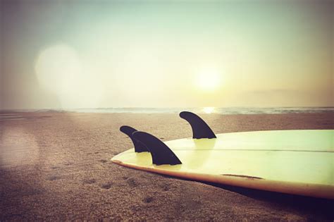 Surfboard On Beach At Sunset Stock Photo Download Image Now Istock