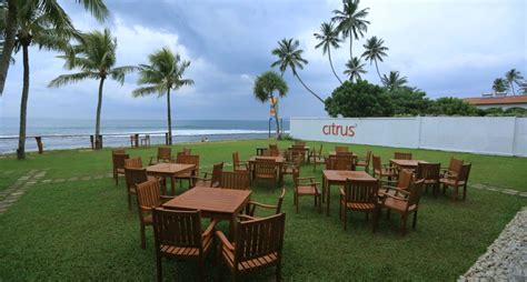 Hotel Citrus Hikkaduwa Zachodnie Wybrzeże Sri Lanka Opis Hotelu