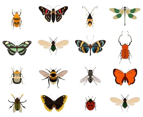 Premium Vector Colorful Butterfly And Bug Collection