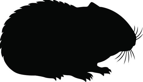 Hamsters Silhouette Illustrations Royalty Free Vector Graphics And Clip