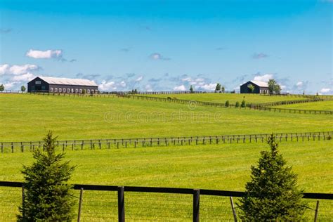 Green Pastures Of Horse Farms Stock Image Image Of Barn Distant
