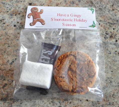 Christmas Treat Bag Ideas Ten Creative Examples Mommysavers