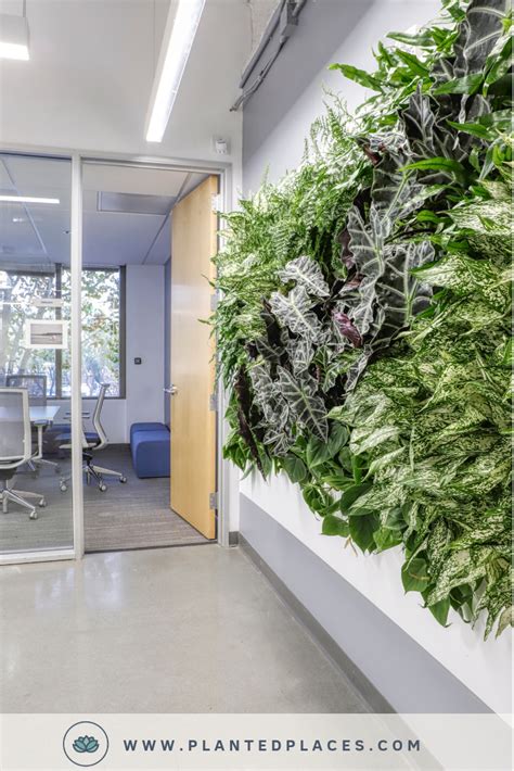 Get Creative Juices Flowing In Your Office Or Work Space With Custom Living Walls For Your
