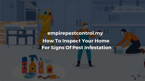 How To Inspect Your Home For Signs Of Pest Infestation