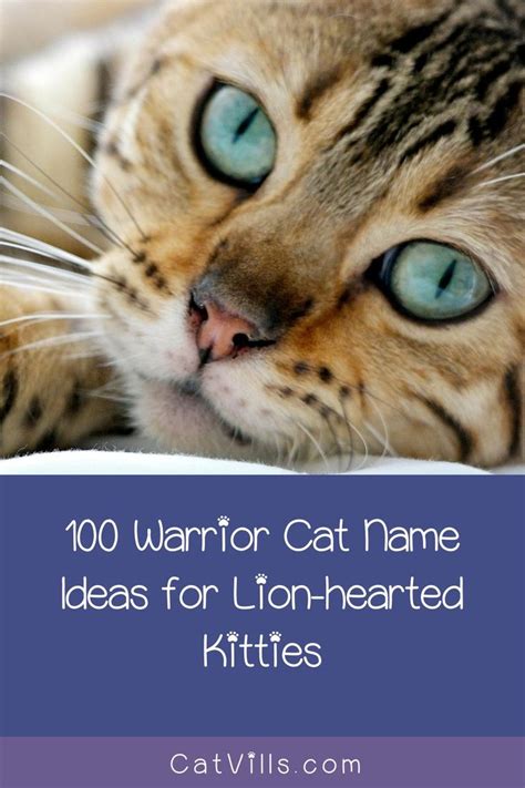 100 Warrior Cat Name Ideas For Lion Hearted Kitties Cat Names Cats