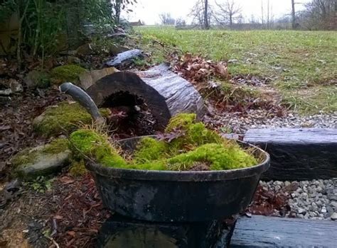 Make A Moss Rock Garden An Ancient Wonderland