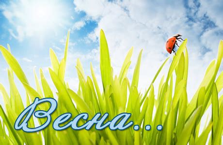Нехай перший весняний день, принесе всім тепло, віру в майбутнє і надію на сьогодення. Бібліотека - філія №6 ім.О.Ольжича ЦБС для дорослих м.Львова : ВІТАЄМО УСІХ З ПЕРШИМ ДНЕМ ВЕСНИ