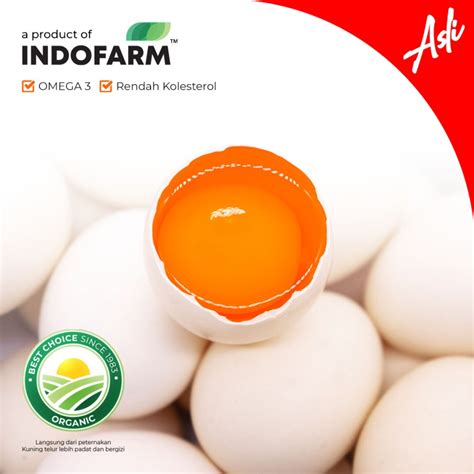 Telur Ayam Kampung Asli Omega Indofarm