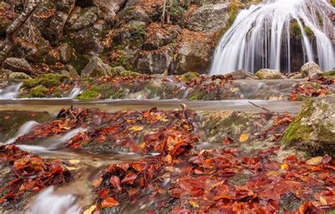 Wallpaper Autumn Leaves Waterfall Colorful Nature Autumn Leaves