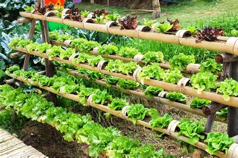 Here we have 38 best innovative diy hydroponic gardening system ideas that we've collected from around the web to give you some inspiration. DIY Hydroponic Gardens: How to Design and Build an ...