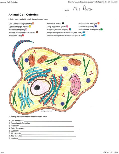 She traced the cell membrane and colored in the cytoplasm before gluing the organelles down. Biologycorner Com Animal Cell Coloring - Through the ...
