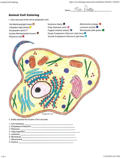 Biologycorner.com plant cell coloring key. Biologycorner Com Animal Cell Coloring - Through the ...