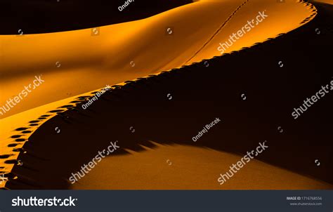 Sahara Earths Largest Hot Desert Stock Photo 1716768556 Shutterstock