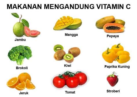 Biasa vitamin c terdapat dalam buah buahan terutama buah jeruk. MAKANAN SEHAT UNTUK IBU HAMIL - Media Informasi