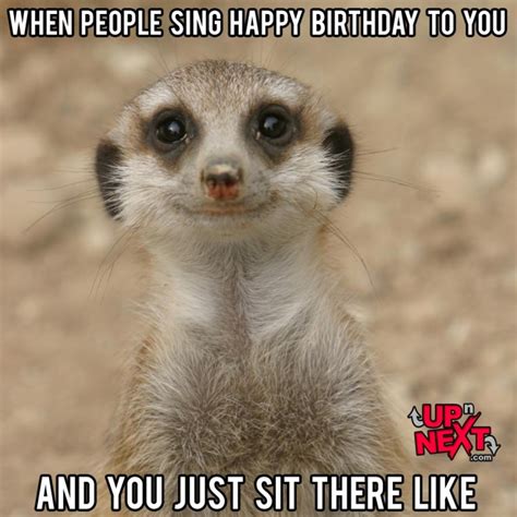 Funny Happy Birthday Pictures And Quotes For Guys Friends And Cousins